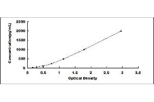 ELISA image for Surfactant Protein D (SFTPD) ELISA Kit (ABIN415784)