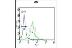 SPHK1 Antibody (C-term ) (ABIN652302 and ABIN2837969) flow cytometric analysis of 293 cells (right histogram) compared to a negative control cell (left histogram).