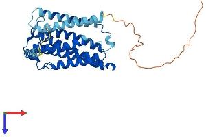 ELOVL4 Protein (AA 1-312) (His tag)