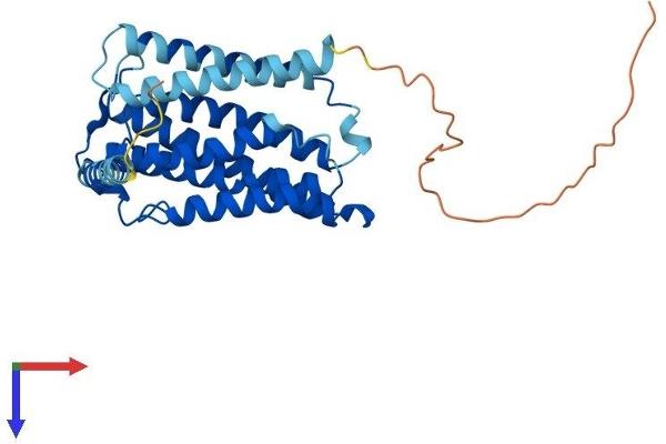 ELOVL4 Protein (AA 1-312) (His tag)