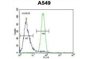 Flow Cytometry (FACS) image for anti-Follistatin-Like 1 (FSTL1) antibody (ABIN2995700) (FSTL1 Antikörper)