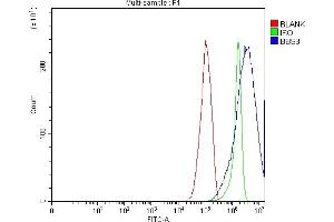 Flow Cytometry analysis of RT4 cells using anti-BBS8/TTC8 antibody (ABIN7601040). (TTC8 Antikörper  (AA 271-533))