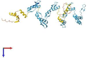 Protein Structure (PS) image for Zinc Finger Protein 355, Pseudogene (ZNF355P) (AA 1-428) protein (His tag) (ABIN7545221)