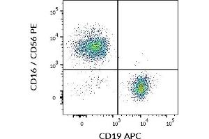Flow cytometry multicolor surface staining of human CD3 negative lymphocytes using anti-human CD19 (LT19) APC and anti-human CD16 / CD56 (3G8 / LT56) PE antibodies.