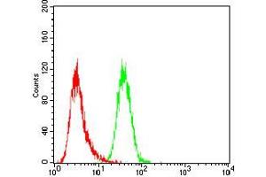 Flow cytometric analysis of Hela cells using JAK2 mouse mAb (green) and negative control (red).
