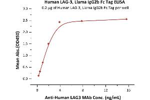 Immobilized Human LAG-3, Llama IgG2b Fc Tag (ABIN5954961,ABIN6253552) at 2 μg/mL (100 μL/well) can bind A LAG3 MAb with a linear range of 0.