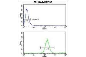 SKIV2L2 Antibody (Center) (ABIN652687 and ABIN2842458) flow cytometry analysis of MDA-M cells (bottom histogram) compared to a negative control cell (top histogram). (MTR4 Antikörper  (AA 237-263))