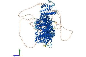 AlphaFold protein structure predicition of Human Recombinant STAG2 Protein, UniprotID Q8N3U4