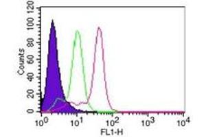 Caspase 8 Flow Cytometry Flow Cytometry of Mouse Anti-Caspase-8 antibody. (Caspase 8 Antikörper)