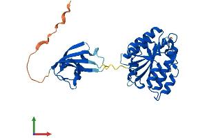 Protein Structure (PS) image for Isochorismatase Domain Containing 1 (ISOC1) (AA 1-298) protein (His tag) (ABIN7548559)
