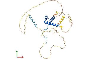 Protein Structure (PS) image for Homeobox D8 (HOXD8) (AA 1-290) protein (His tag) (ABIN7548458)