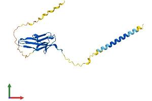 AlphaFold protein structure predicition of Human Recombinant IGSF23 Protein, UniprotID A1L1A6 (IGSF23 Protein (AA 1-192) (His tag))