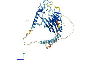 Protein Structure (PS) image for Ring Finger Protein 135 (RNF135) (AA 1-417) protein (His tag) (ABIN7560681)