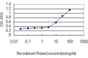 Image no. 3 for anti-Chloride Intracellular Channel 3 (CLIC3) (AA 137-237) antibody (ABIN465974)