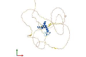 Protein Structure (PS) image for SRY (Sex Determining Region Y)-Box 11 (SOX11) (AA 1-441) protein (His tag) (ABIN7546197)