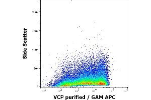 Flow cytometry intracellular staining pattern of human sperm cells stained using anti-VCP (Hs-14) purified antibody (concentration in sample 9 μg/mL) GAM APC. (VCP Antikörper)