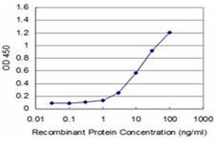 Detection limit for recombinant GST tagged EN1 is approximately 1ng/ml as a capture antibody. (EN1 Antikörper  (AA 266-392))