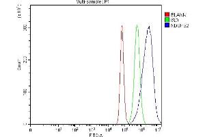 Flow Cytometry analysis of Hela cells using anti-NDUFS2 antibody (ABIN7599417).