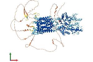 Protein Structure (PS) image for Patched 1 (PTCH1) (AA 1-1434) protein (His tag) (ABIN7563899)