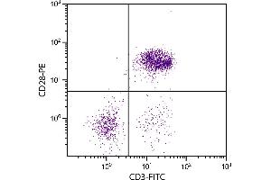 Chicken peripheral blood lymphocytes were stained with Mouse Anti-Chicken CD28-PE. (CD28 Antikörper  (Biotin))