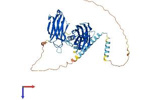 SYT2 Protein (AA 1-422) (His tag)
