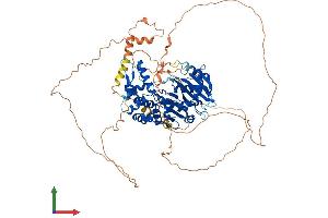Protein Structure (PS) image for DENN/MADD Domain Containing 1C (DENND1C) (AA 1-786) protein (His tag) (ABIN7559309)