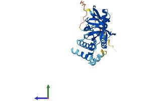 Protein Structure (PS) image for GIPC PDZ Domain Containing Family, Member 3 (GIPC3) (AA 1-297) protein (His tag) (ABIN7559783)