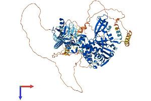 USP20 Protein (AA 1-914) (His tag)