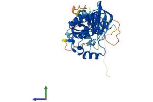 Protein Structure (PS) image for Moloney Sarcoma Oncogene (MOS) (AA 1-346) protein (His tag) (ABIN7549426)