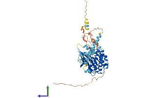 Protein Structure (PS) image for MAP Kinase Interacting serine/threonine Kinase 2 (MKNK2) (AA 1-465) protein (His tag) (ABIN7554562)