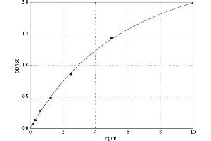 Opioid Receptor, mu 1 (OPRM1) ELISA Kit