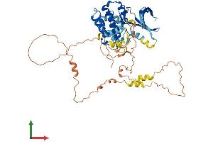 Protein Structure (PS) image for NIMA related kinase 3 (NEK3) (AA 1-506) protein (His tag) (ABIN7549826)