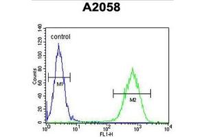 C6orf70 Antibody (Center) flow cytometric analysis of A2058 cells (right histogram) compared to a negative control cell (left histogram).