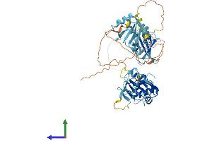 Protein Structure (PS) image for Polypyrimidine Tract Binding Protein 3 (PTBP3) (AA 1-552) protein (His tag) (ABIN7551116)