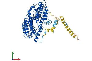 Protein Structure (PS) image for Farnesyl-Diphosphate Farnesyltransferase 1 (FDFT1) (AA 1-417) protein (His tag) (ABIN7547680)
