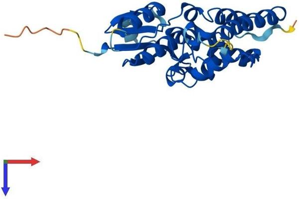 CLIC5 Protein (AA 1-251) (His tag)
