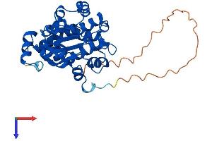 CLVS2 Protein (AA 1-327) (His tag)