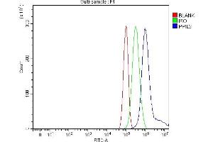 anti-Peptidylprolyl Isomerase (Cyclophilin)-Like 3 (PPIL3) (AA 1-161) antibody