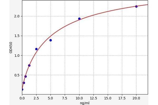 PDCD4 ELISA Kit