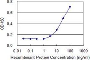 Detection limit for recombinant GST tagged ABCA10 is 1 ng/ml as a capture antibody. (ABCA10 Antikörper  (AA 1-80))