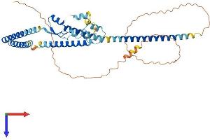 LUC7-Like 3 Protein (LUC7L3) (AA 1-432) (His tag)