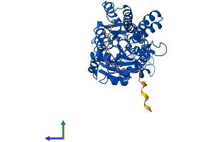 Protein Structure (PS) image for UDP-Glucose 6-Dehydrogenase (UGDH) (AA 1-494) protein (His tag) (ABIN7544954)