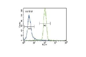 Flow Cytometry (FACS) image for anti-Hepatocyte Nuclear Factor 4, alpha (HNF4A) (AA 281-312) antibody (ABIN389269)