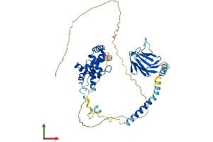 Protein Structure (PS) image for Microspherule Protein 1 (MCRS1) (AA 1-462) protein (His tag) (ABIN7549347)