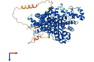 AMPD1 Protein (AA 1-745) (His tag)