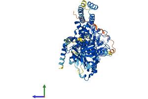 AlphaFold protein structure predicition of Human Recombinant GRK3 Protein, UniprotID P35626