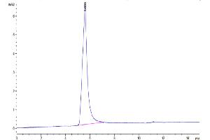 Claudin 6 Protein-VLP (CLDN6) (AA 1-219)