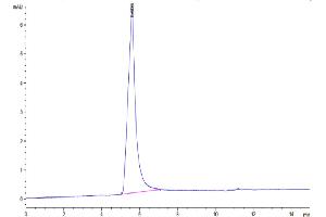 The purity of Mouse Claudin 6 VLP is greater than 95 % as determined by SEC-HPLC. (Claudin 6 Protein-VLP (CLDN6) (AA 1-219))