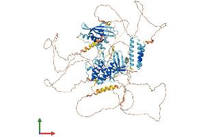 Protein Structure (PS) image for Ribosomal Protein S6 Kinase, 52kDa, Polypeptide 1 (RPS6KC1) (AA 1-1056) protein (His tag) (ABIN7564389)