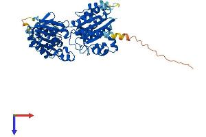 GLYCTK Protein (AA 1-523) (His tag)